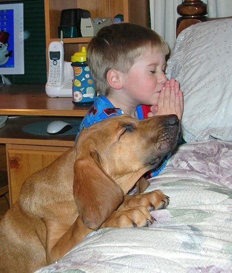 boy-and-dog-praying.jpg