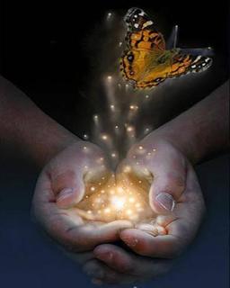 clasped-hands-holding-light-butterfly.jpg